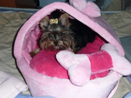 Aqui la podeis ver dentro de su camita de princesa